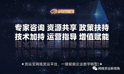 网络货运时代 软件技术与信息咨询服务的双轮驱动